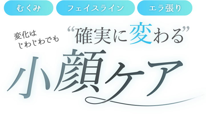 マキシフォートについて