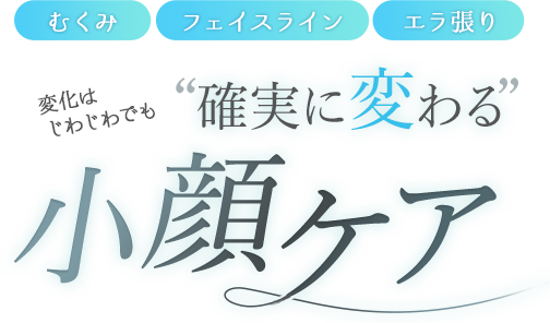 マキシフォートについて