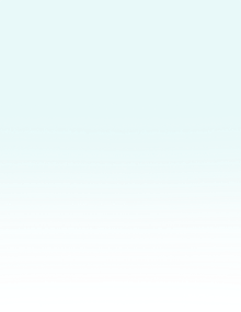 マキシフォートについて